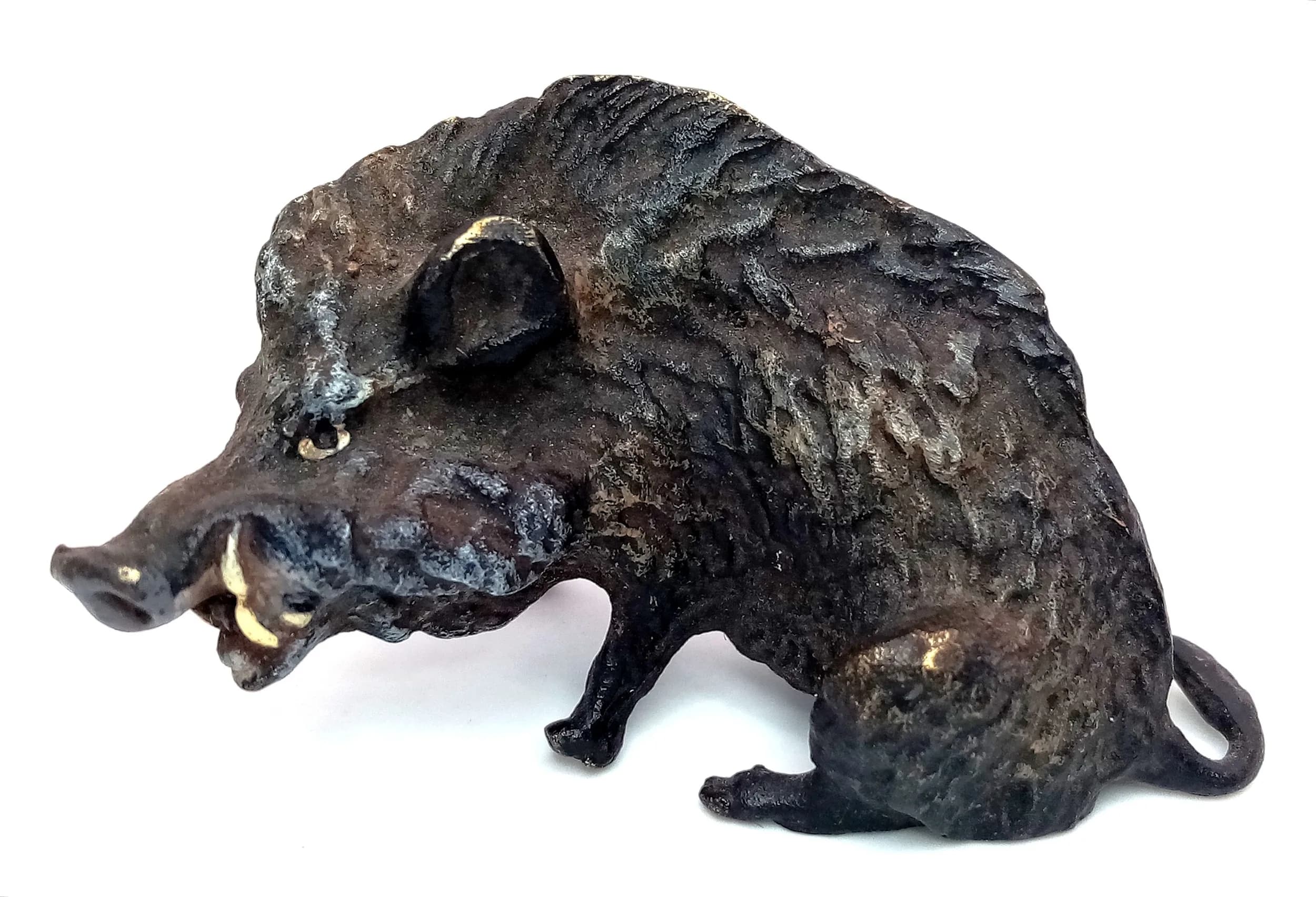 A Cold Painted Bronze by Franz Bergman (Austrian, 1861-1936) of a Seated Wild Boar. Finely modelled with textured fur, curled tail and visible tusks. 6cm length x 3.5cm height x 2cm width.