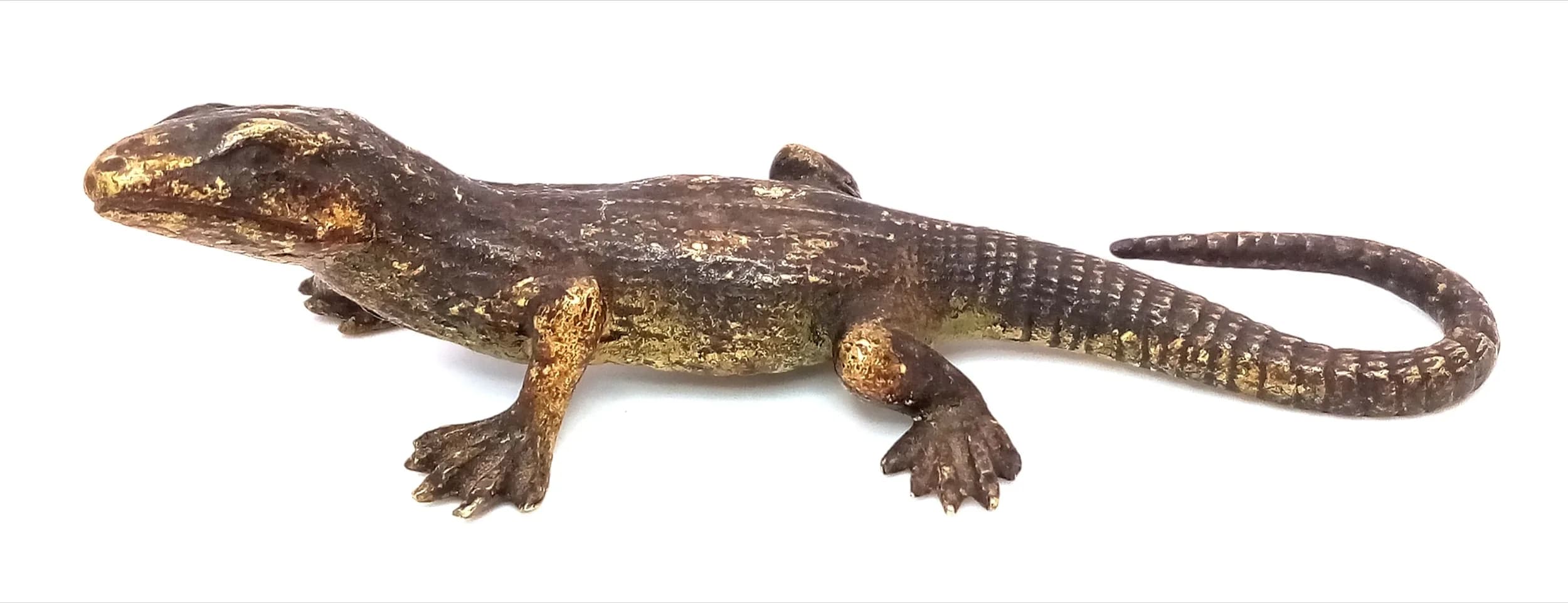 A cold painted Bronze Lizard by Franz Bergman (Austrian, 1861-1936). Approx 9.5cm length x 2.5cm height.