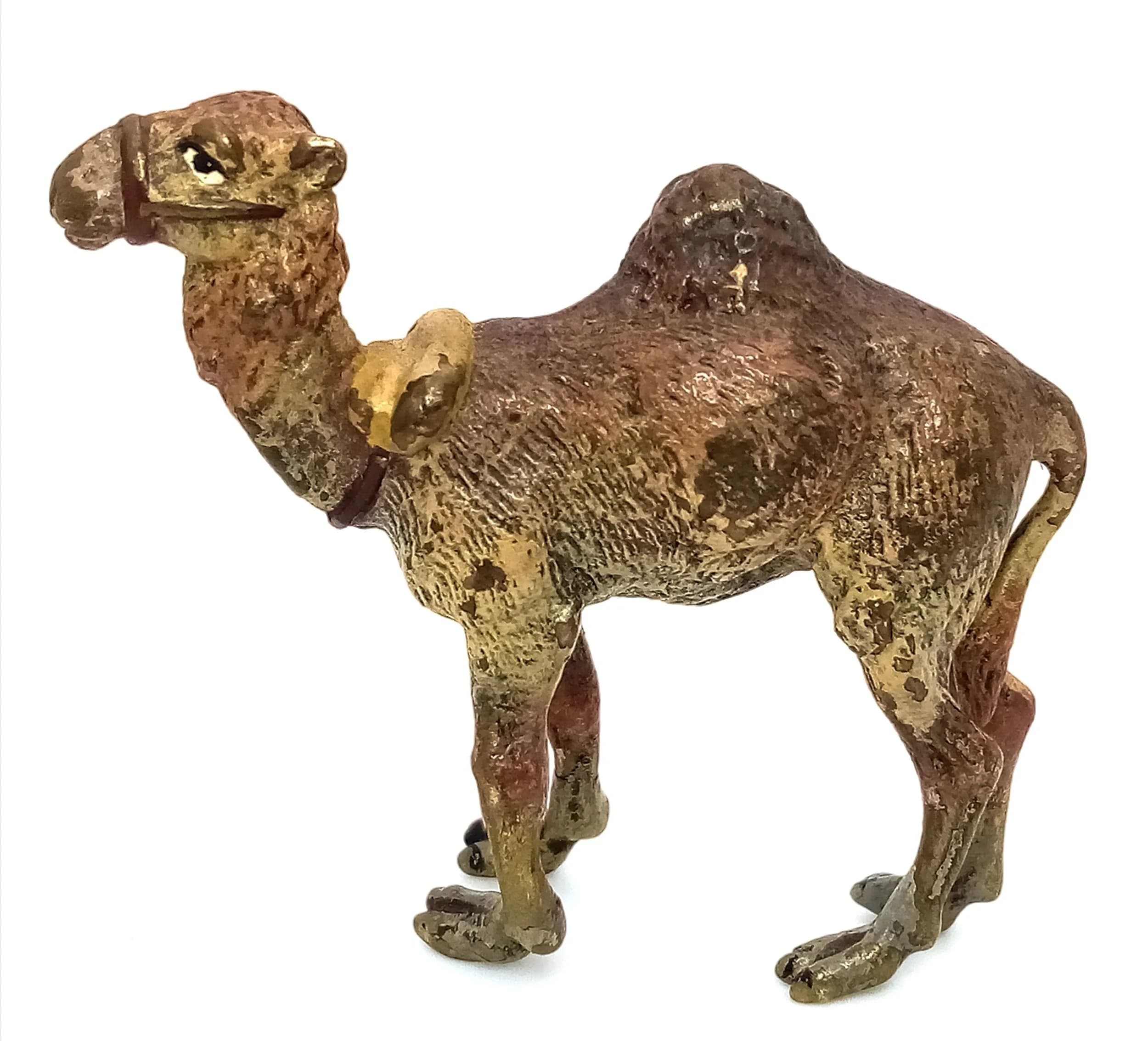 A Cold Painted Bronze Camel by Franz Bergman (Austrian, 1861-1936). Size approx: 4.5cm length x 3.6cm height.