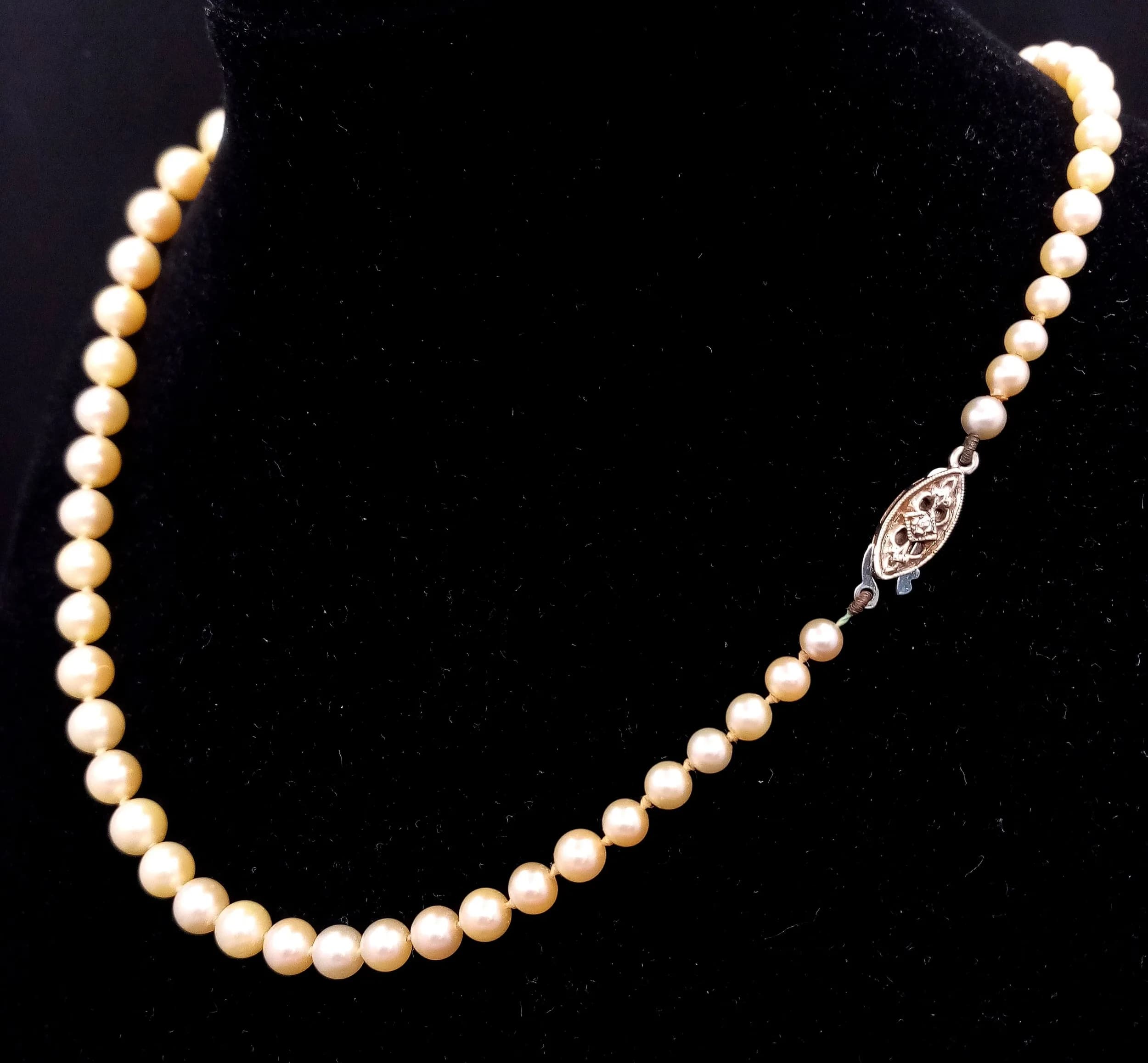 A SET OF GRADUATED PEARLS WITH A 9K WHITE GOLD CLASP. S/A 1710