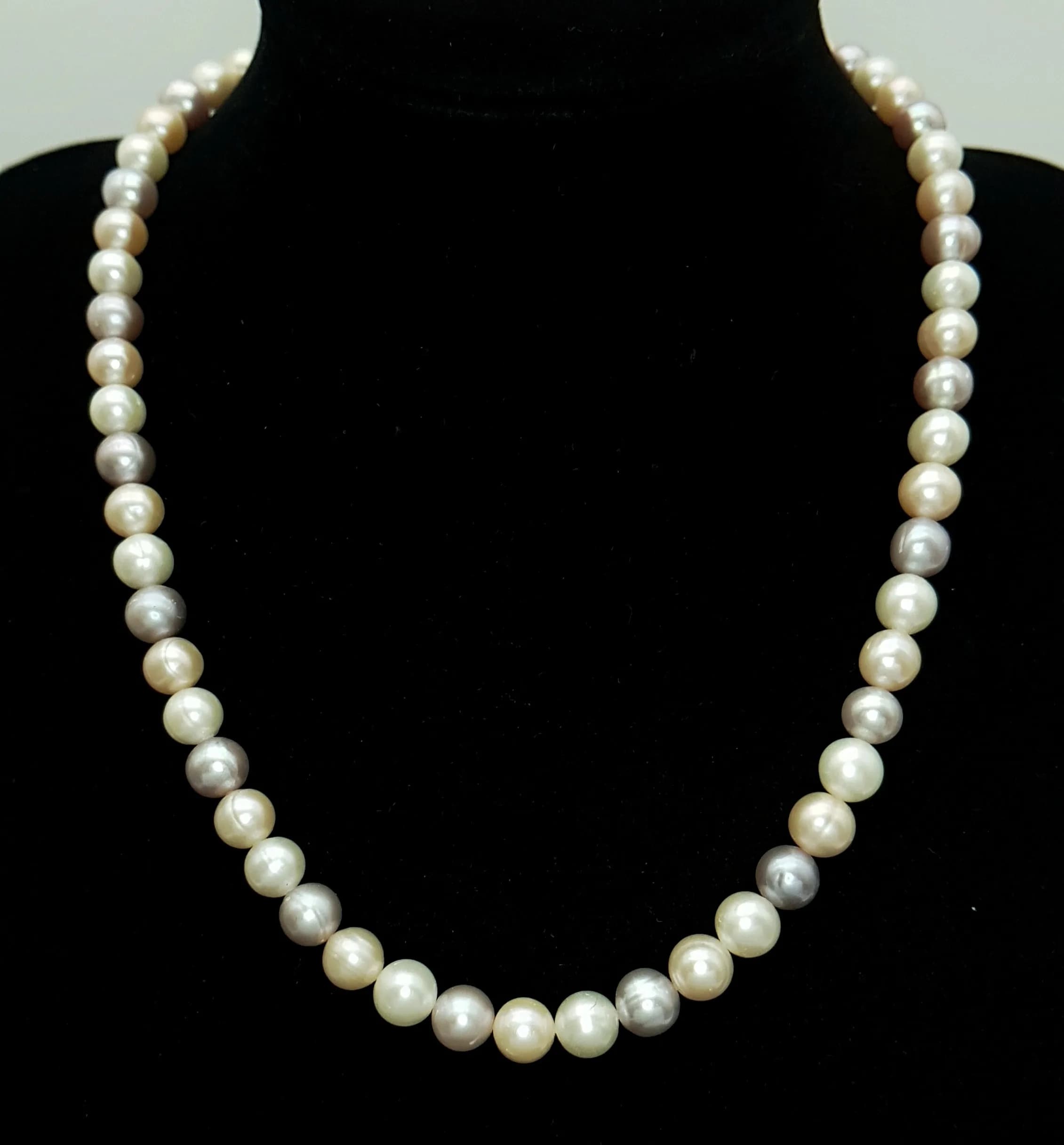 A pretty Tri-Colour Freshwater Pearls Necklace with gilded Silver flower decorative clasp. Approx 38cm length. Pearl-7mm approx. Please see photos for details.