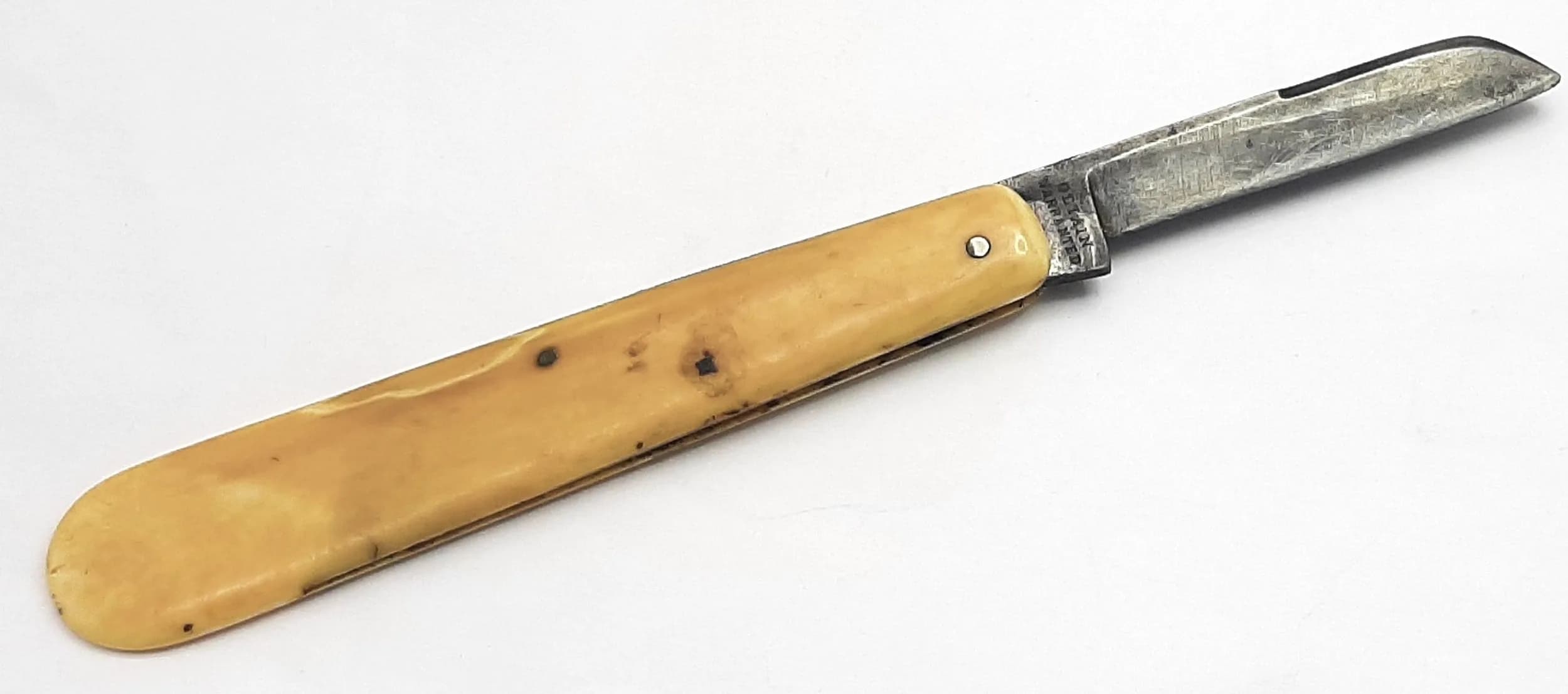 A VINTAGE/ANTIQUE BONE HANDLED PEN OR FRUIT KNIFE.16cms LENGTH WHEN OPENED.